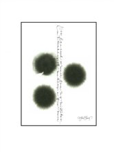 Ylva Skarp print mistakes