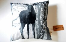 Barfota moose kudde älg fotoprint
