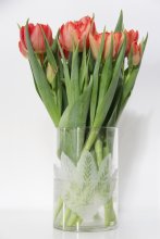 Day glass collection vas ljuslykta