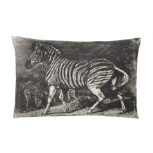 Day into the wild zebra kuddfodral