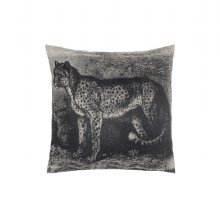 Day into the wild jaguar