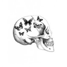 Vanilla Fly skull with butterfly