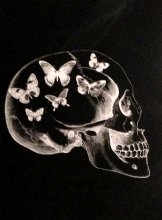 Vanilla Flys skull with butterflies black